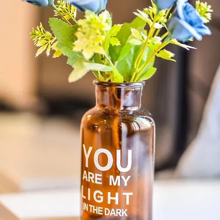 Panorama Central-downtown Apartament *