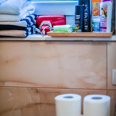 Panorama Central-downtown *